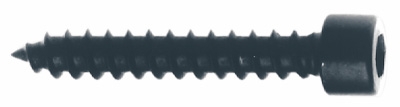 Schrauben (Zylinderkopf), schwarz, 5 x 30 mm